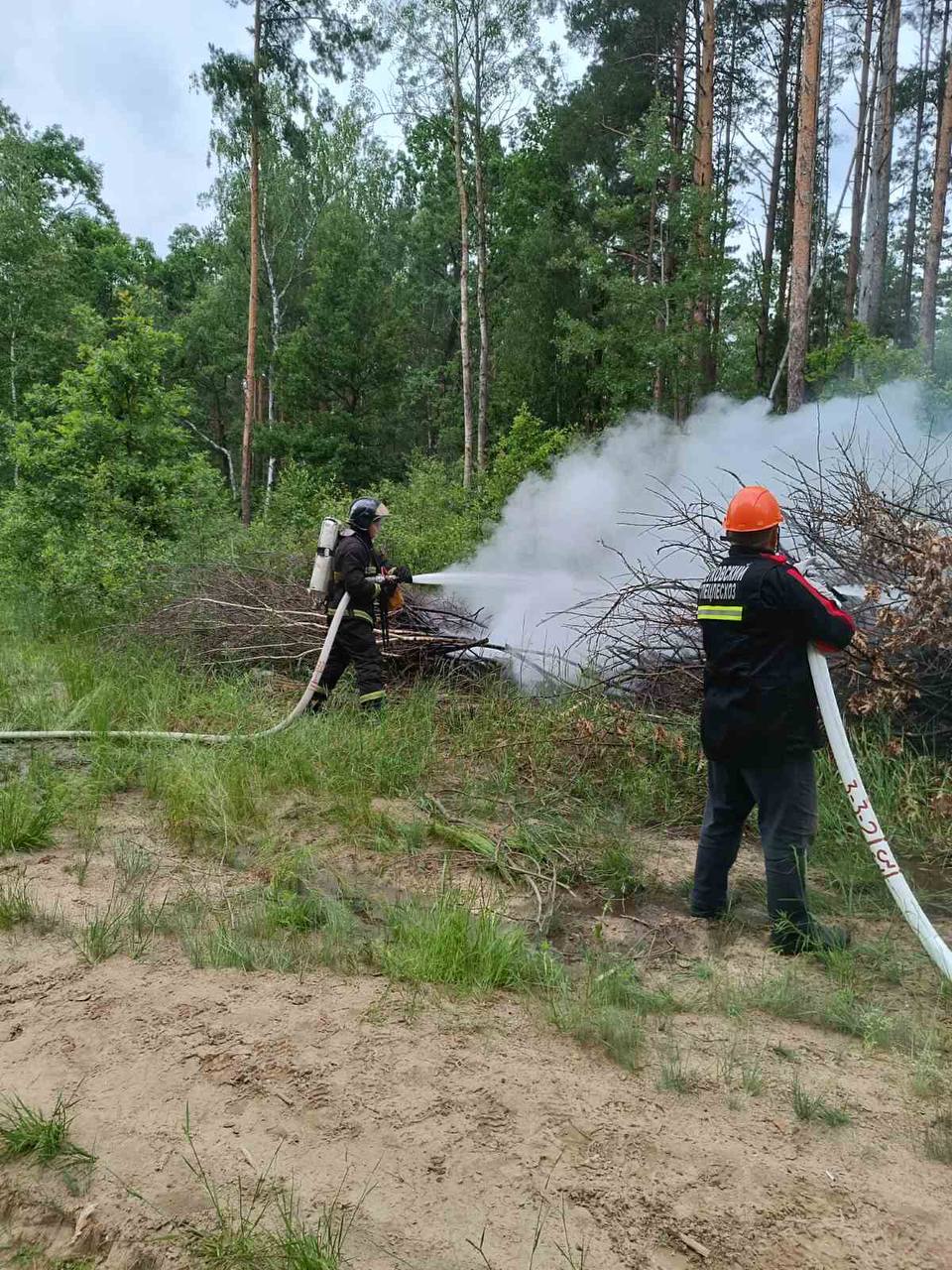 В Ветковском районе проведены совместные плановые учения лесопожарных  команд Ветковского спецлесхоза, Ветковского РЭС и Ветковского РОЧС. -  Ветковский спецлесхоз